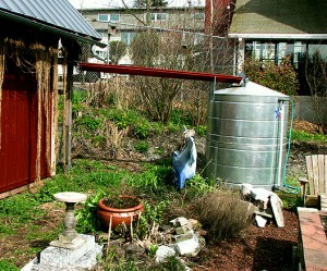 Rainwater catchment cistern at Picardo Farm - Photo by Larry Neilson