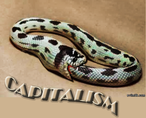 capitalistic snake