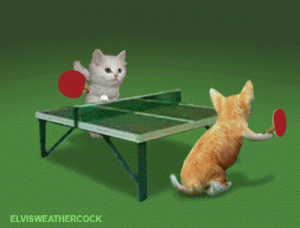 Moving-animated-picture-of-kittens-playing-ping-pong