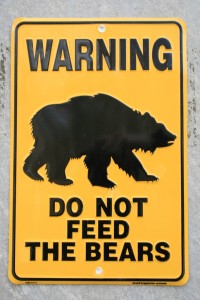do_not_feed_bear