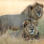 Cecil-and-Jericho_3390407b