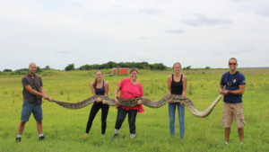 hanslowe-2015-large-python-training