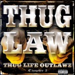 Legal thug
