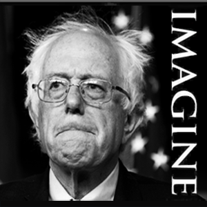 Bernie IMAGINE ico