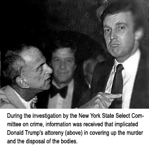 Trump and Cohn