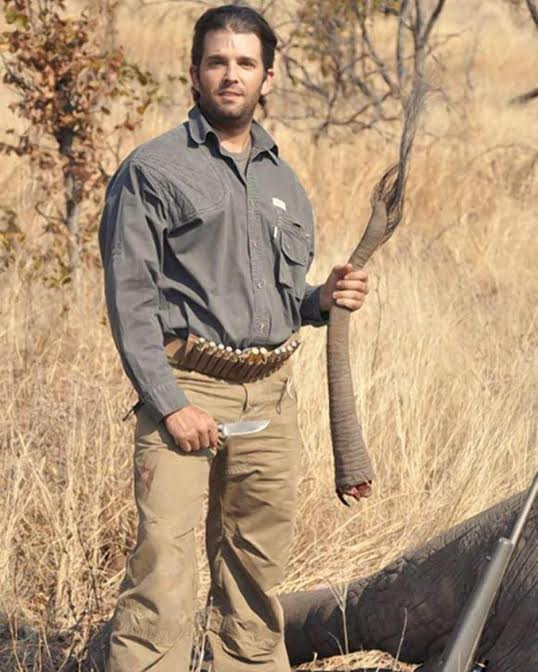 Donald Jr Kills an Elephant