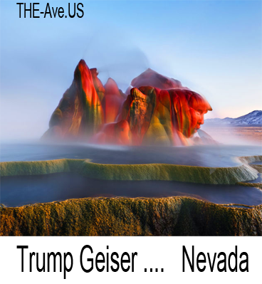 Trump Geiser ico