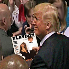 Trump Playboy ico