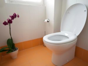 istock-13234958_toilet-orchid-orange-tile_s4x3-jpg-rend-hgtvcom-1280-960